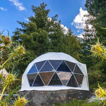 Sailya Camping And Trekking Saturang Eksteriør bilde